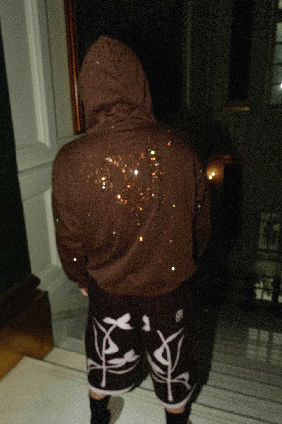 Starry Skydiamond Hoddie