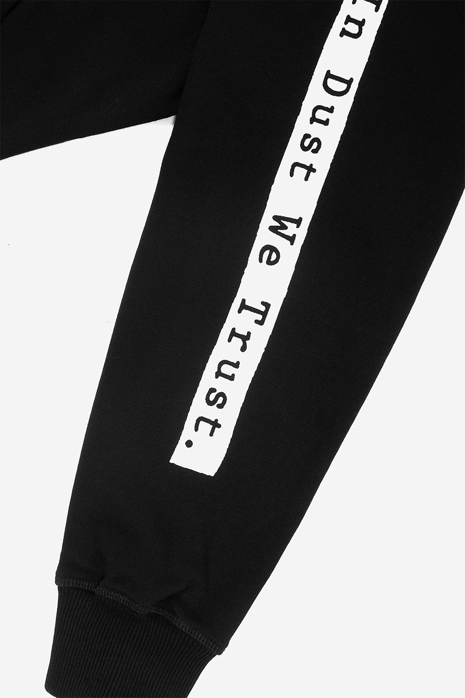Hoodie In Dust We Trust