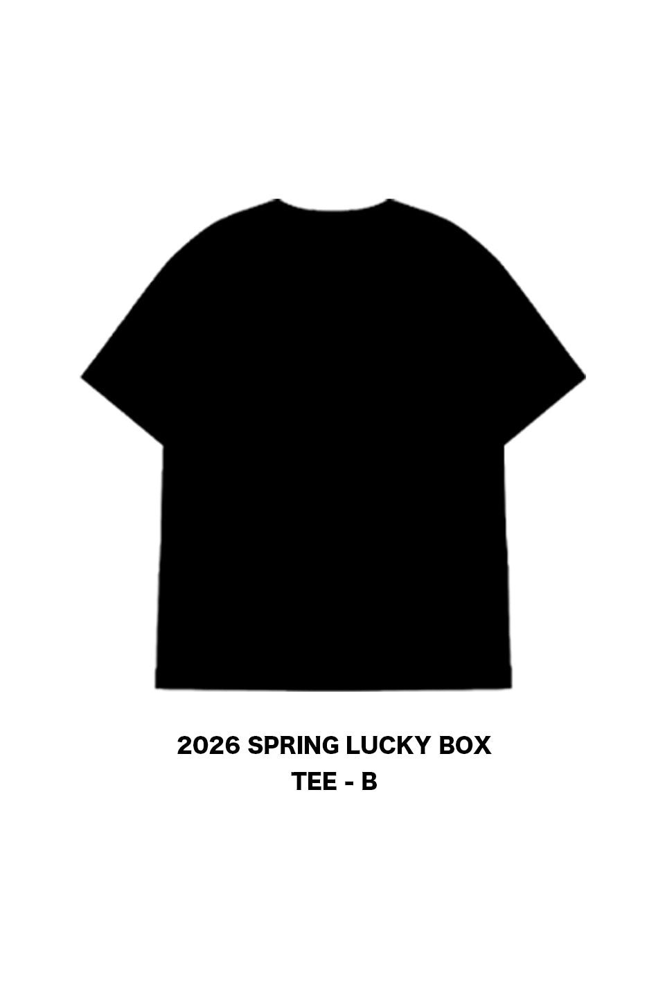 2026 SPRING LUCKY BOX / TEE - B