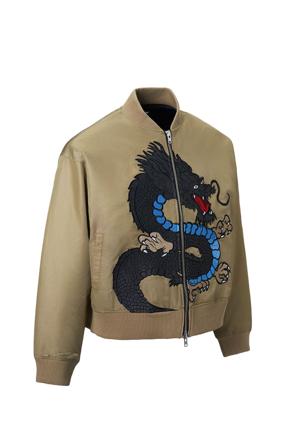 Dragon Embroidery Nylon Jacket