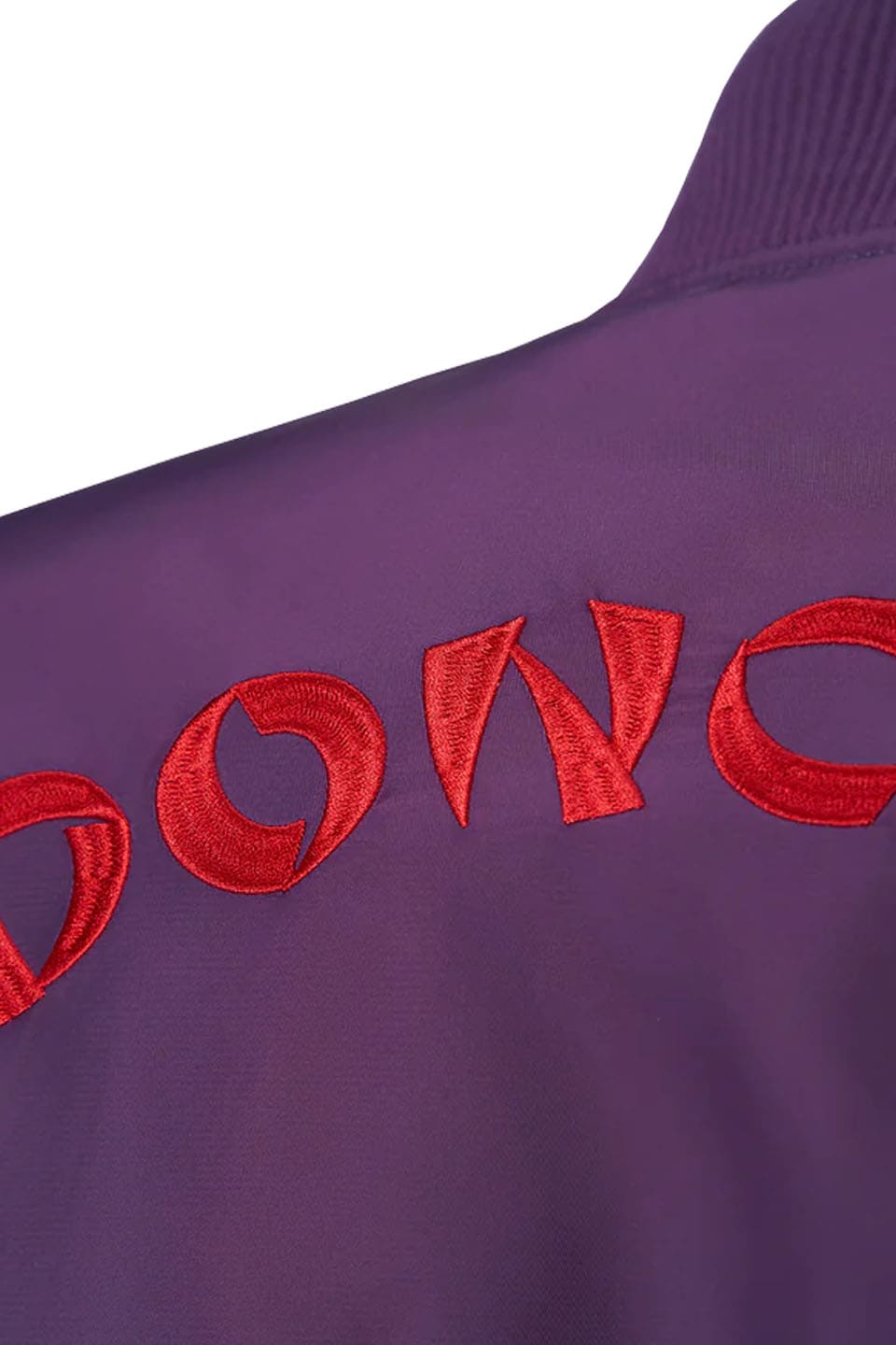 Dragon Embroidery Nylon Jacket