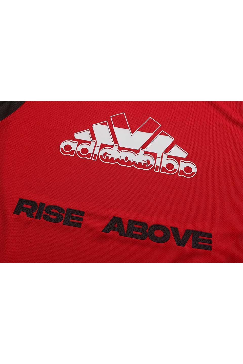 Rise Above