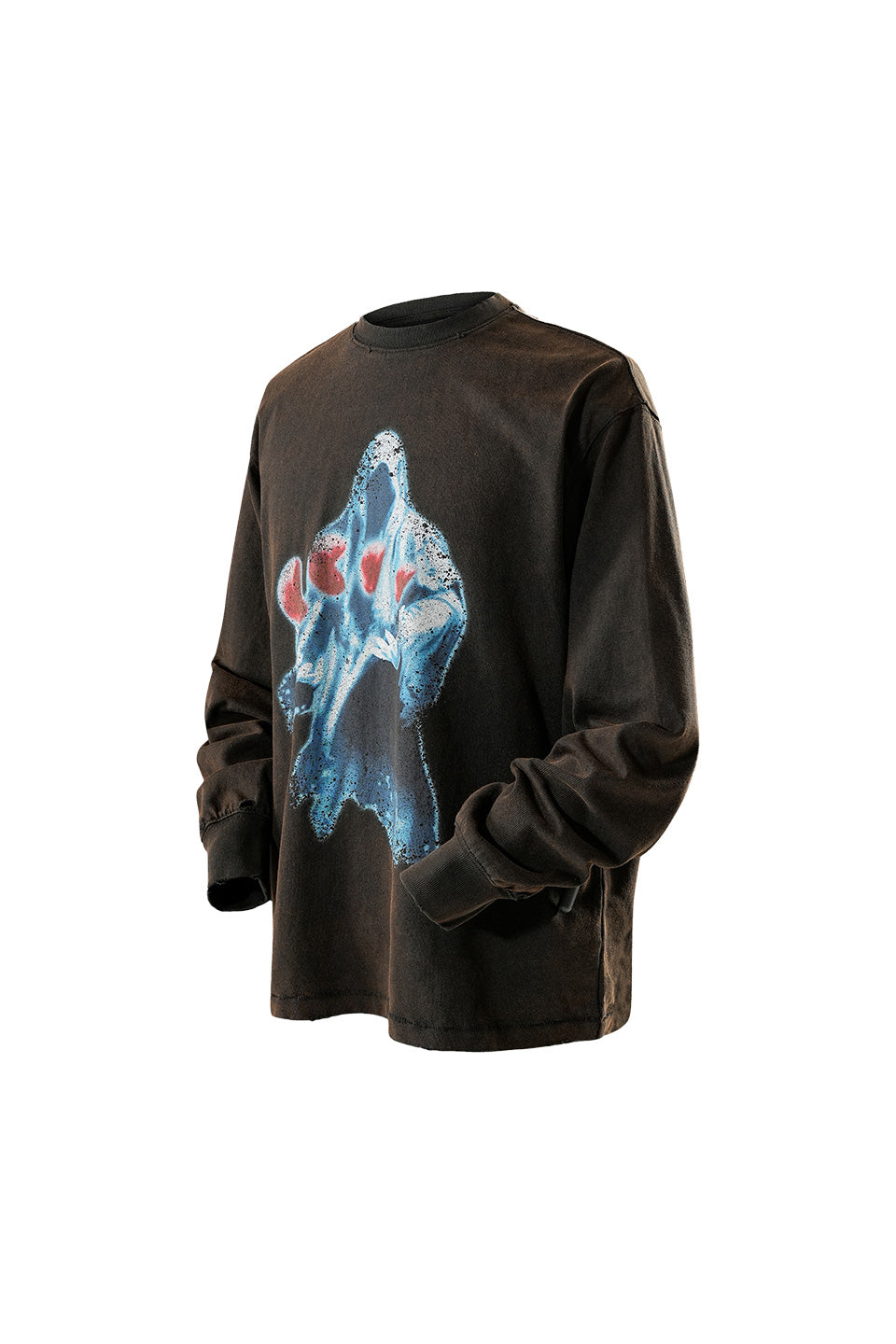 Two-Color Printed Long Sleeves (Washed + Damaged)