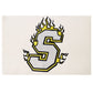 Fire Logo Hoodie